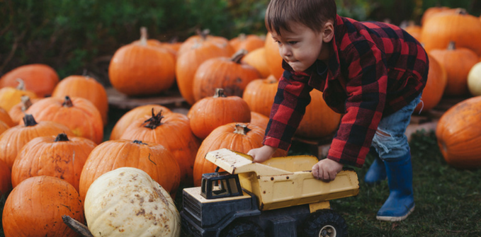 Keeping Halloween Happy | Safety Tips from 123.ie