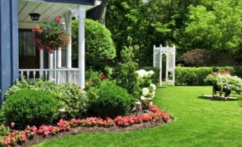 A Guide to Garden Orientation When Buying a Property