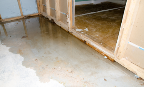 Managing Escape of Water in Homes: Advice and Tips