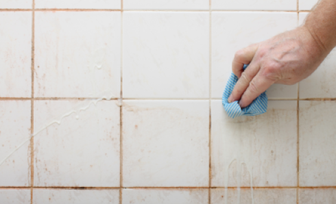 8 Key Ways to Remove and Prevent Mould in Your House
